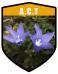 ACT State Flower Royal Bluebell Shield