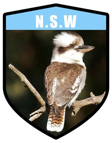 Buy NSW State Animal Kookaburra Shield | The Art of Stickers Australia