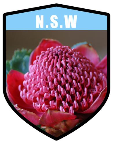 NSW State Flower Waratah Shield