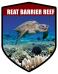 QLD Shield Great Barrier Reef Turtle