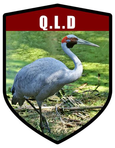 QLD State Animal Brolga Shield