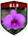 QLD State Flower Cooktown Orchid Shield