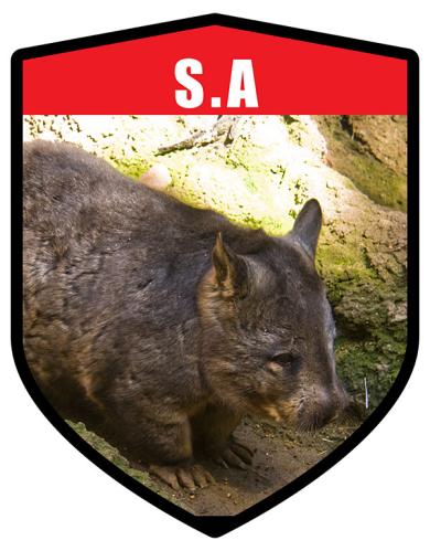 SA State Animal Wombat Shield