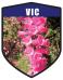 VIC State Flower Common Heath Shield