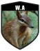 WA State Animal Numbat Shield