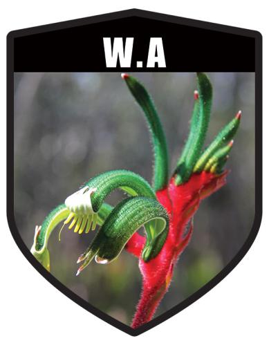 WA State Flower Red and Green Kangaroo Paw Shield