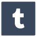 Tumblr Icon Logo with Background 