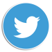 Twitter Circle Icon Logo Background with Outline