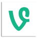 Vine Icon Logo