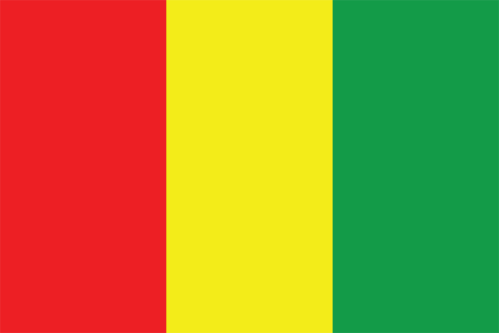 Guinea - Flag