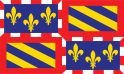 France Bourgogne - Flag