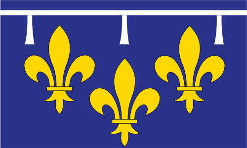 France Orleanais - Flag