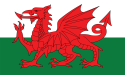 UK Wales - Flag