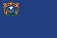 USA Nevada - Flag