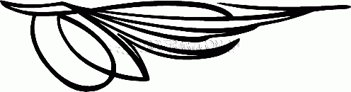 Classic Pinstripe Scroll Decal No:PS-0208
