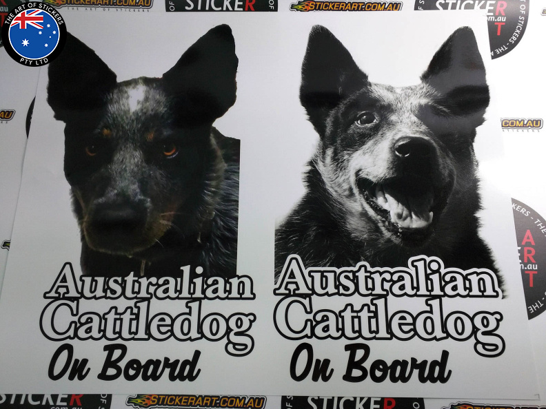 2016_06_australian_cattle_dog_custom_stickers.jpg