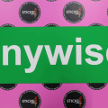 Custom Printed Anywise Business Car Magnet