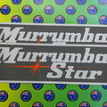 200928-catalogue-custom-colour-printed-contour-cut-die-cut-murrumba-star-vinyl-stickers.jpg