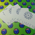 Custom Vinyl Cut Acumen Business Logo Stickers