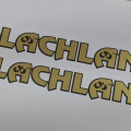 Custom Printed Gold Metallic Contour Cut McLachlan Bicycles Vinyl Business Logo Stickers