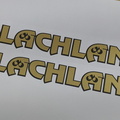 210128-custom-printed-gold-metallic-contour-cut-mclachlan-bicycles-vinyl-business-logo-stickers.jpg