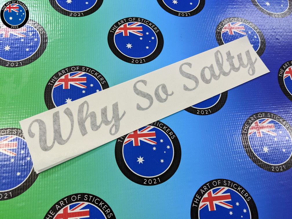 Custom Vinyl Cut Why So Salty Lettering Decal Stickers